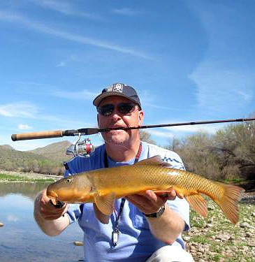 1288_Sonora Sucker_Catostomus insignis.jpg 1288_Sonora Sucker_Catostomus insignis.jpg